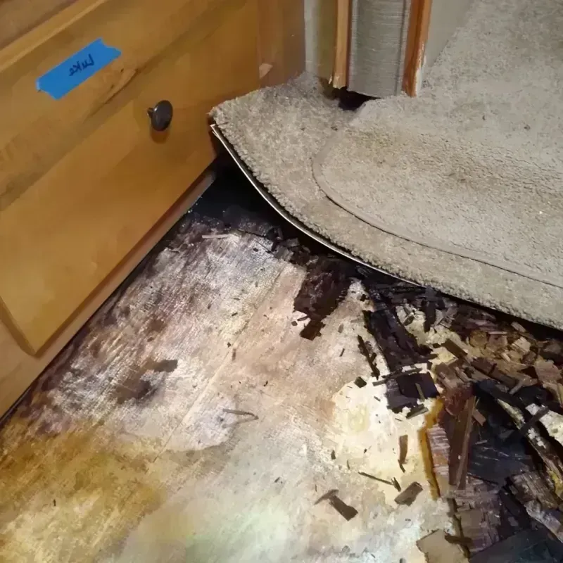 Wood Floor Water Damage in Lincoln Park, NJ